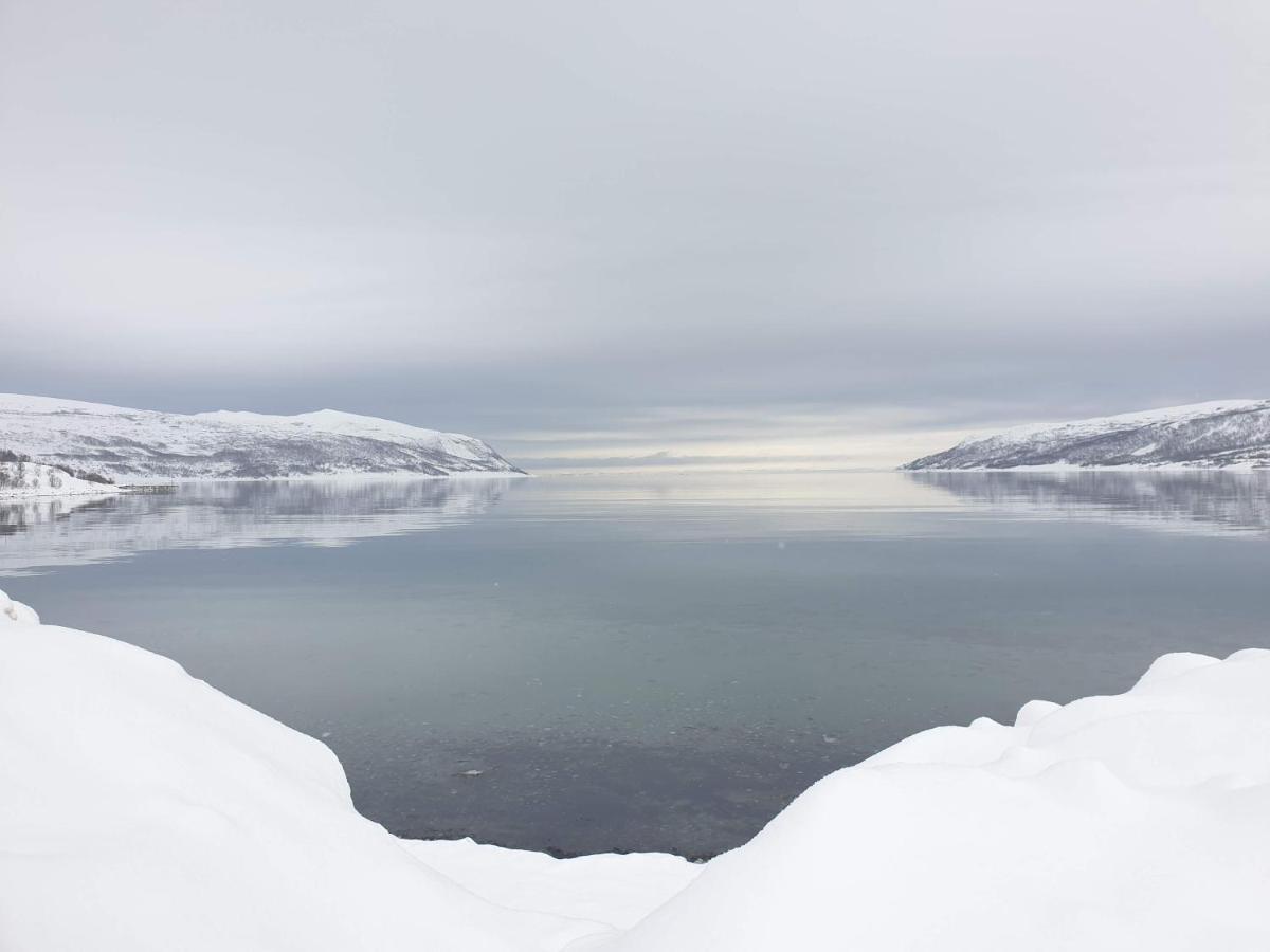 فندق Olderfjord Turistsenter Russenes المظهر الخارجي الصورة